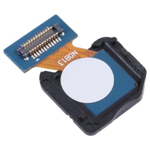 Fotocamera Ampia Samsung Galaxy A31 SM-A315