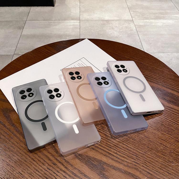 Funda para Teléfono OnePlus 13 Protección Frío Hielo Orificios Finos (Dorada)