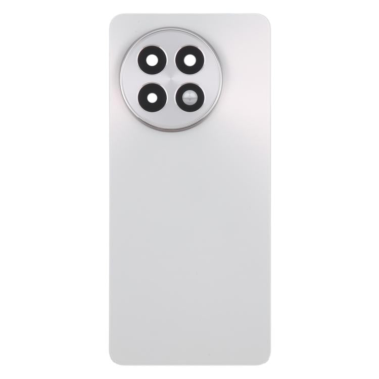Tapa Trasera de Batería Vidrio OnePlus 13R CPH2645 CPH2691 CPH2647 (Plata Mate)