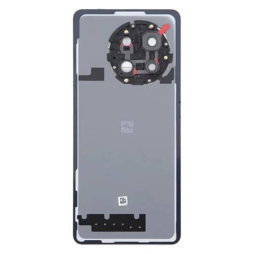 Coperchio posteriore della batteria in vetro OnePlus 13R CPH2645 CPH2691 CPH2647 (Argento opaco)