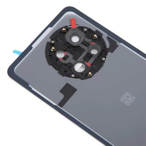 Coperchio posteriore della batteria in vetro OnePlus 13R CPH2645 CPH2691 CPH2647 (Argento opaco)