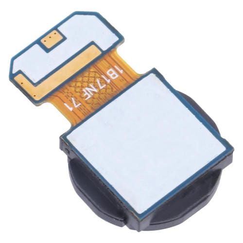 Wide Camera Samsung Galaxy A53 5G SM-A536B