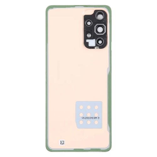 Coperchio Posteriore della Batteria Samsung Galaxy A53 5G SM-A536B con Obiettivo della Fotocamera (Rosa)