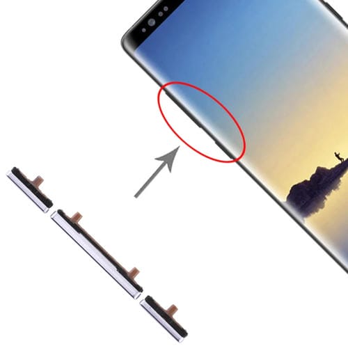 Gioco di tasti laterali Samsung Galaxy Note 8 Pulsanti di accensione e volume (Grigio)