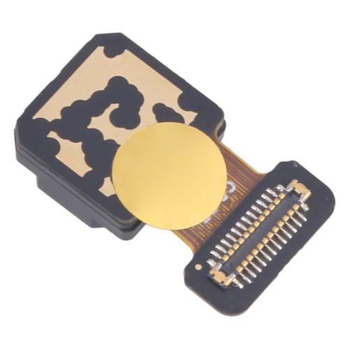 Caméra Arrière Large Realme 10 Pro+ Originale