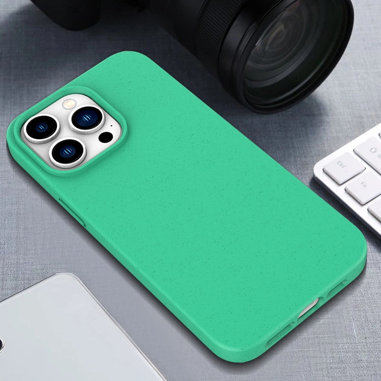 Funda TPU paja de trigo para iPhone 16E (Blanca)