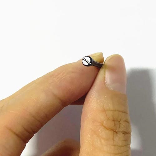 Flat Head Straps Amazfit T-Rex 3 with Screwdriver (Black) (2 Units)