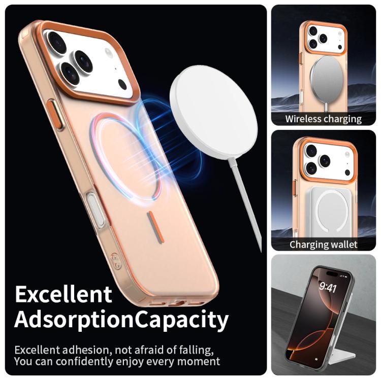 EDA008658618B_1.jpg@42fb0879432ffcaaf3061e1f2147a9f9