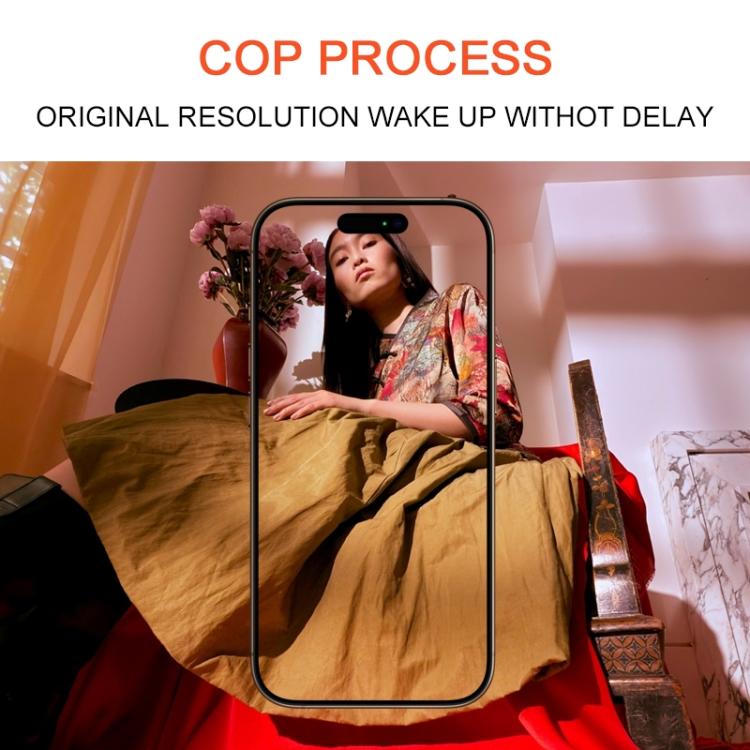 IP6P0125_4.jpg@3bf67eb8f1ebc52617d80f704a20cbb1