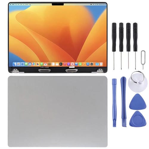Schermo Intero Originale Apple MacBook Pro 14 A2779 (Argento)