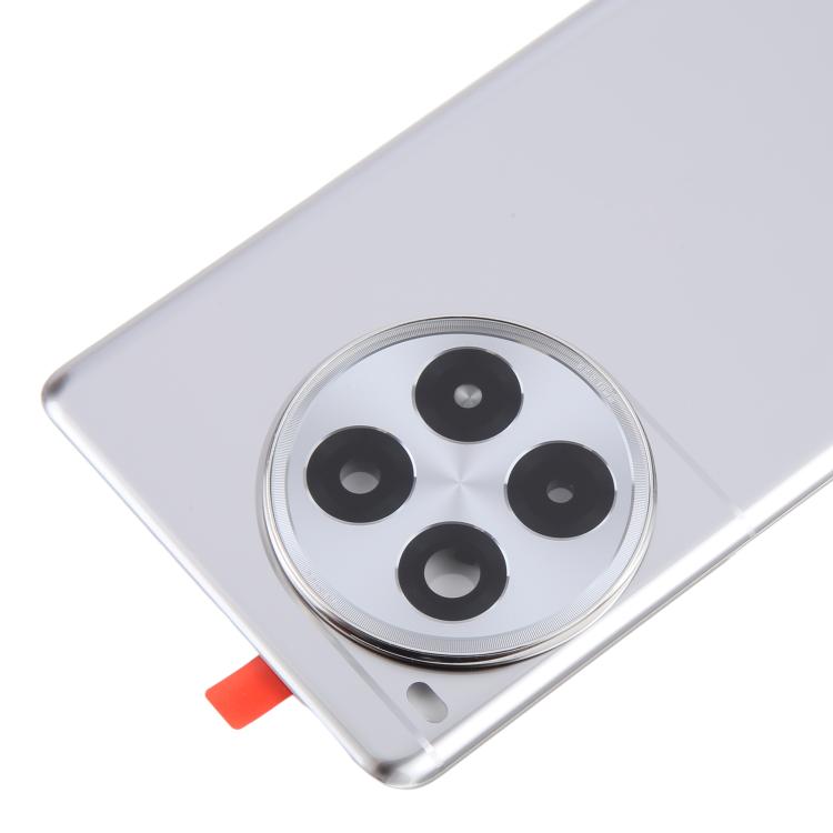 Coque arrière batterie verre OnePlus Ace 3 Pro PJX110 Objectif caméra (argentée)