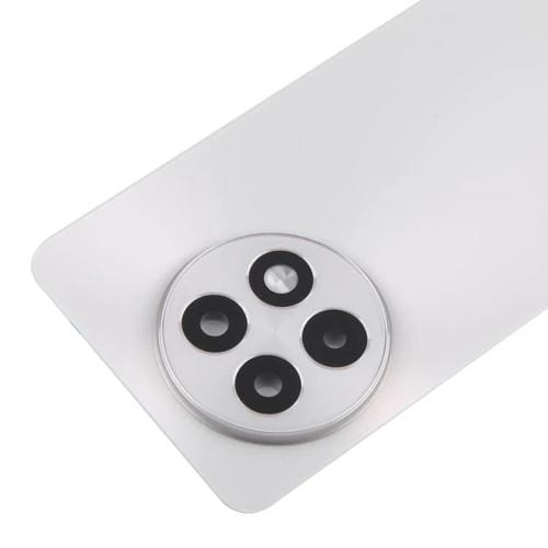 Back Battery Cover Glass OnePlus 13R CPH2645 CPH2691 CPH2647 (Matte Silver)