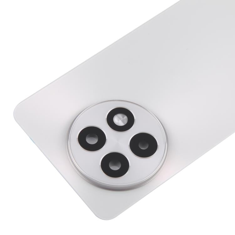 Tapa Trasera de Batería Vidrio OnePlus 13R CPH2645 CPH2691 CPH2647 (Plata Mate)