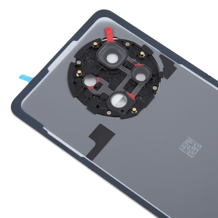 Tapa Trasera de Batería Vidrio OnePlus 13R CPH2645 CPH2691 CPH2647 (Plata Mate)