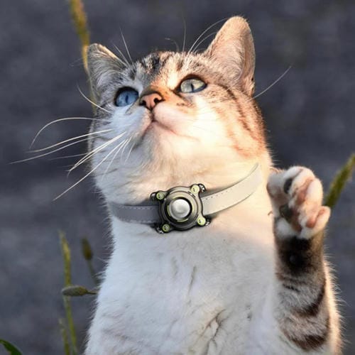 Funda Protectora para AirTag Collar Cachorros y Gatitos Hebilla Metal (Negra y Blanca)