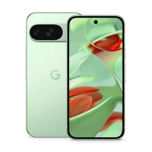 Google Pixel 9 5G 12GB/128GB Grün Dual SIM